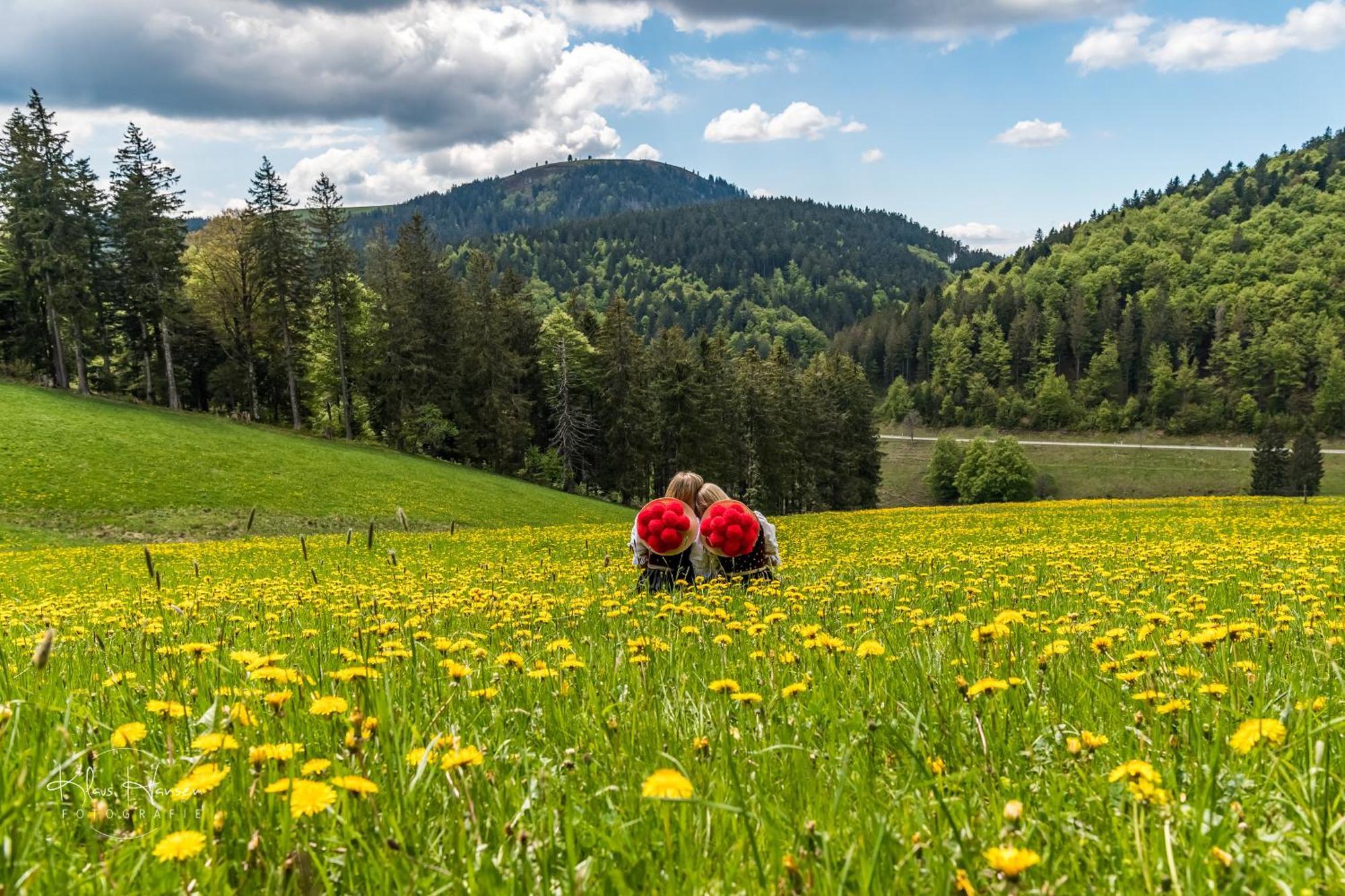 Schwarzwaldhaus Sonnenstrasse, Oberried-Hofsgrund, Dreisamtal Villa Oberried  Luaran gambar